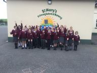 Primary 6