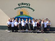 Primary 3